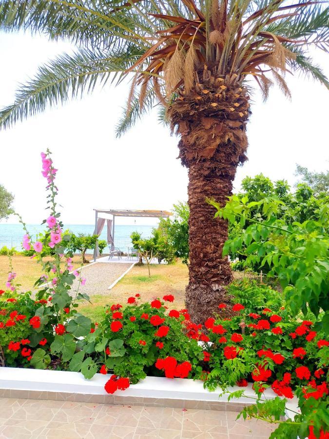 Pefki  Villa Stella Family House מראה חיצוני תמונה