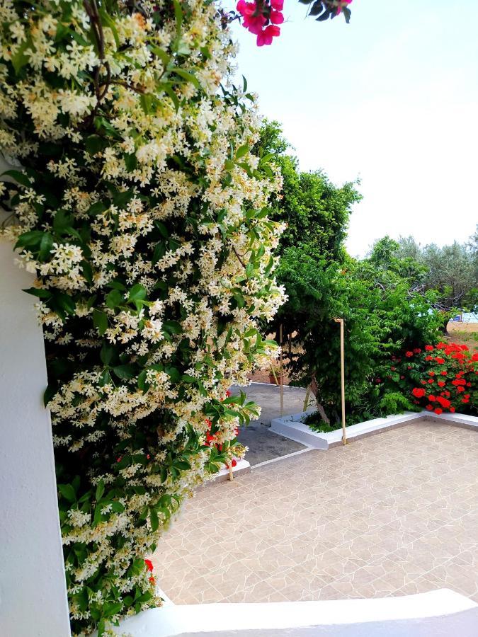 Pefki  Villa Stella Family House מראה חיצוני תמונה
